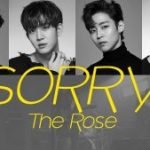 CHORDS The Rose Sorry Chord Progression on Piano yallemedia.com