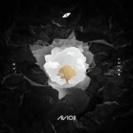 Avicii Lonely together Chord Progression yallemedia.com
