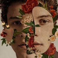 shawn mendes albul chord progressions