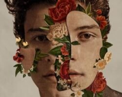 shawn mendes albul chord progressions