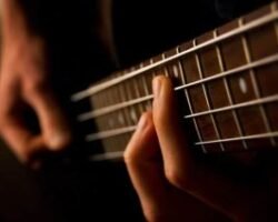 bass guitar yallemedia