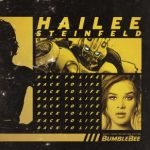 Hailee Steinfeld chords