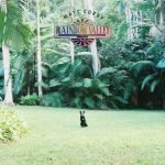 Matt Corby - Miracle Love Piano & Ukulele Chord Progression and Tab chords