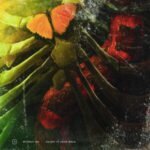 Halsey ft Juice Wrld without me chords