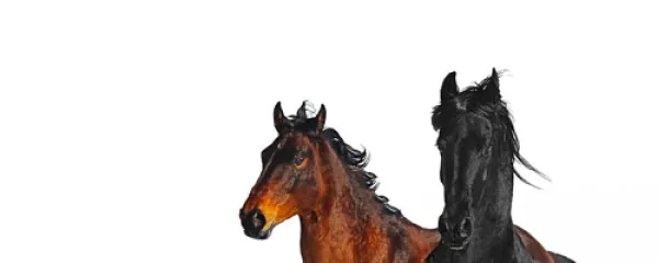 Lil Nas X, RM & BTS – Piano & Ukulele Chord Progression