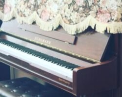 5 Tips and Tricks for Piano Beginners